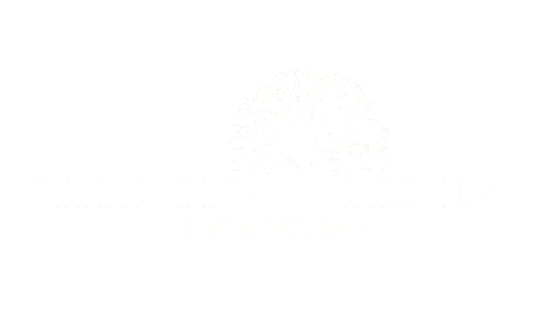 light logo